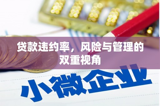 息县贷款违约率，风险与管理的双重视角