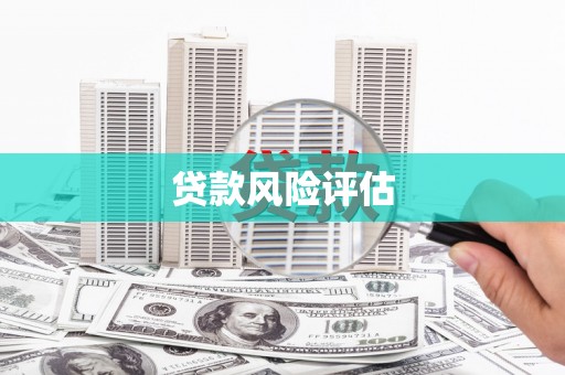 顺平贷款风险评估