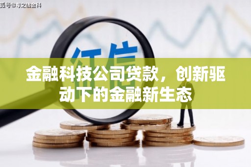 枞阳金融科技公司贷款，创新驱动下的金融新生态