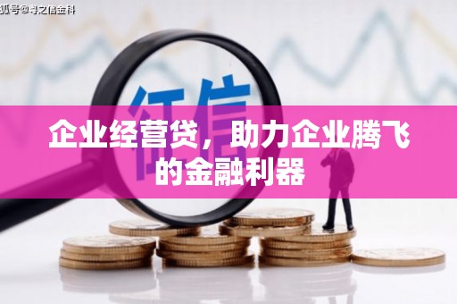 南平企业经营贷，助力企业腾飞的金融利器