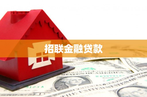 田尾招联金融贷款