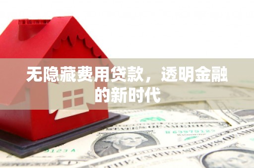龙潭无隐藏费用贷款，透明金融的新时代