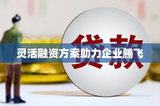 庄浪灵活融资方案助力企业腾飞
