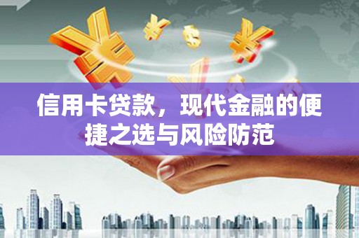 洋县信用卡贷款，现代金融的便捷之选与风险防范