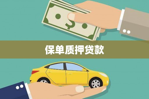 宁明保单质押贷款