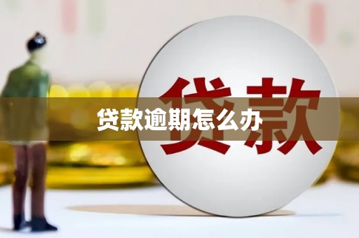 青神贷款逾期怎么办