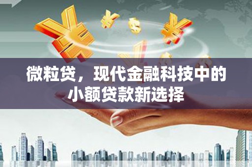 修文微粒贷，现代金融科技中的小额贷款新选择