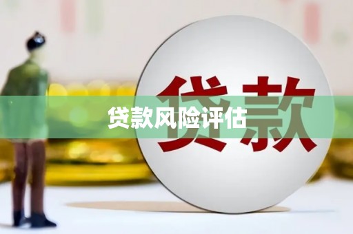 来宾贷款风险评估