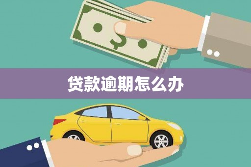 镜湖贷款逾期怎么办