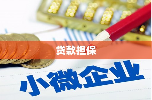 南涧贷款担保