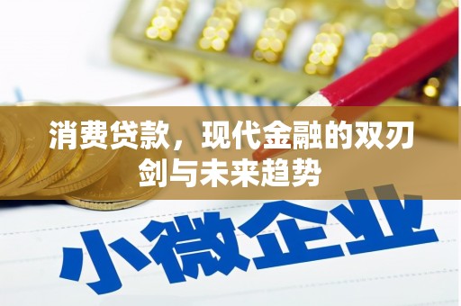 沈丘消费贷款，现代金融的双刃剑与未来趋势