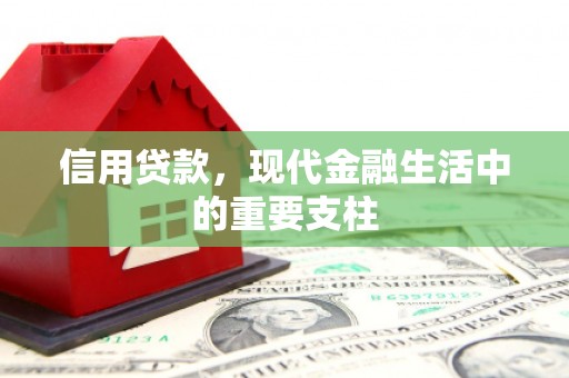 九原信用贷款，现代金融生活中的重要支柱