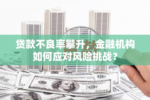 阿巴嘎旗贷款不良率攀升，金融机构如何应对风险挑战？