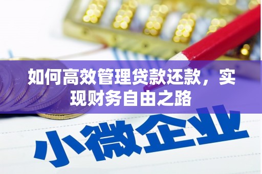 利辛如何高效管理贷款还款，实现财务自由之路