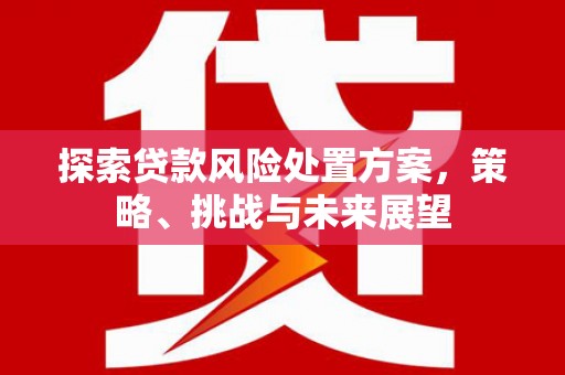 梧州探索贷款风险处置方案，策略、挑战与未来展望