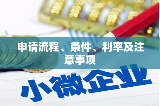 米易申请流程、条件、利率及注意事项
