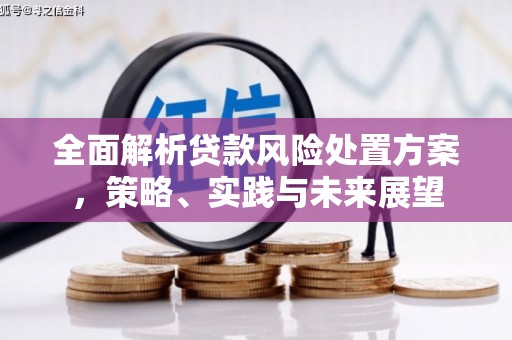 武鸣全面解析贷款风险处置方案，策略、实践与未来展望