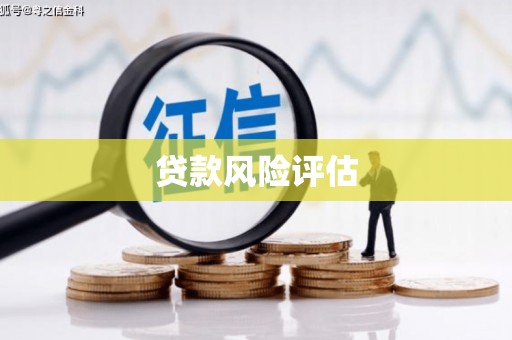 平湖贷款风险评估