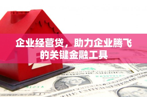 华宁企业经营贷，助力企业腾飞的关键金融工具