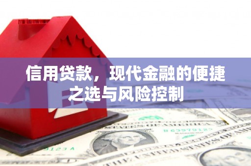 泸州信用贷款，现代金融的便捷之选与风险控制