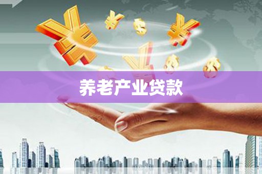 湖北养老产业贷款