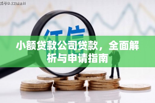 江陵小额贷款公司贷款，全面解析与申请指南