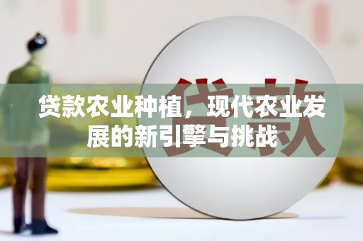 新晃贷款农业种植，现代农业发展的新引擎与挑战