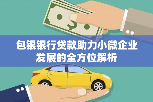 庆元包银银行贷款助力小微企业发展的全方位解析