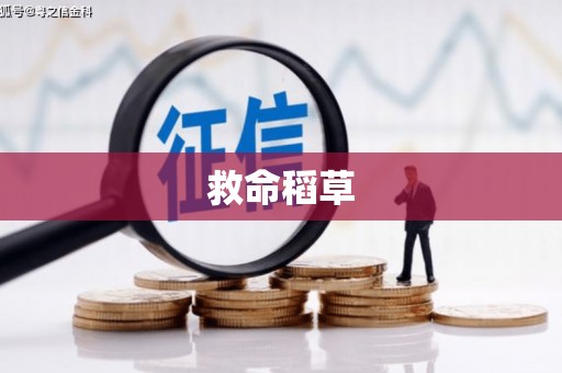 曲江救命稻草