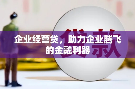 延平企业经营贷，助力企业腾飞的金融利器