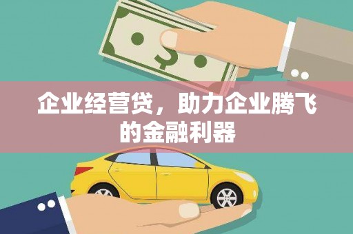 嵊泗企业经营贷，助力企业腾飞的金融利器