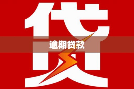 阳东逾期贷款