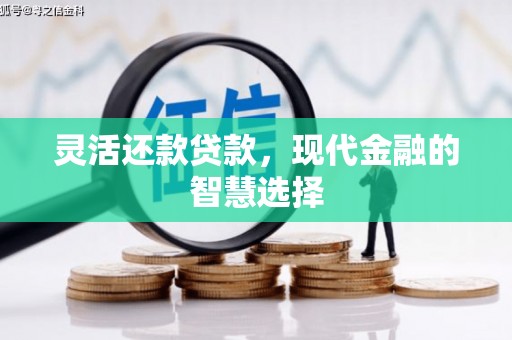 山阴灵活还款贷款，现代金融的智慧选择