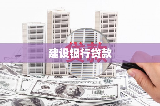 临翔建设银行贷款