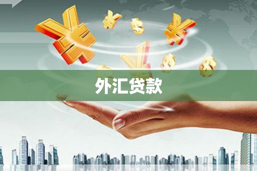 西螺外汇贷款