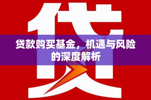 涡阳贷款购买基金，机遇与风险的深度解析