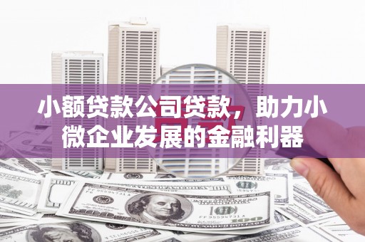 顺城小额贷款公司贷款，助力小微企业发展的金融利器