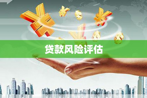 永定贷款风险评估