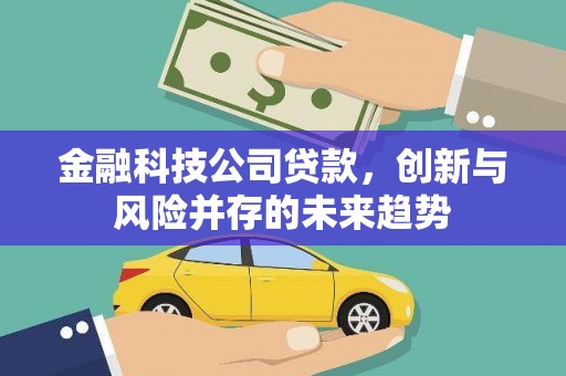 宣汉金融科技公司贷款，创新与风险并存的未来趋势
