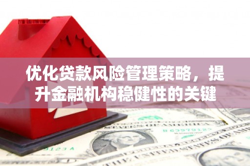 沧县优化贷款风险管理策略，提升金融机构稳健性的关键