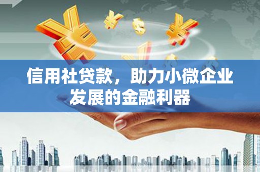 沙坡头信用社贷款，助力小微企业发展的金融利器