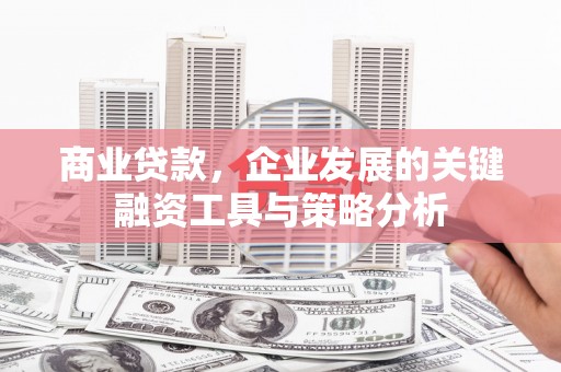 汉台商业贷款，企业发展的关键融资工具与策略分析