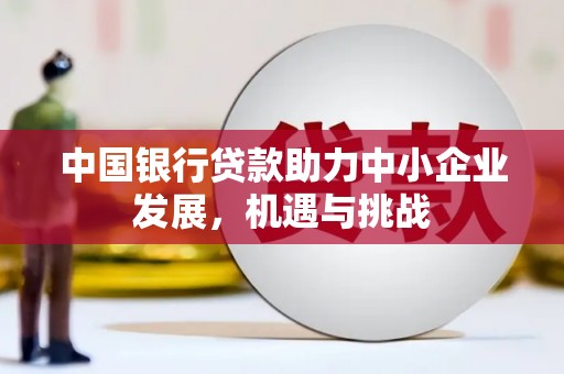 民和中国银行贷款助力中小企业发展，机遇与挑战