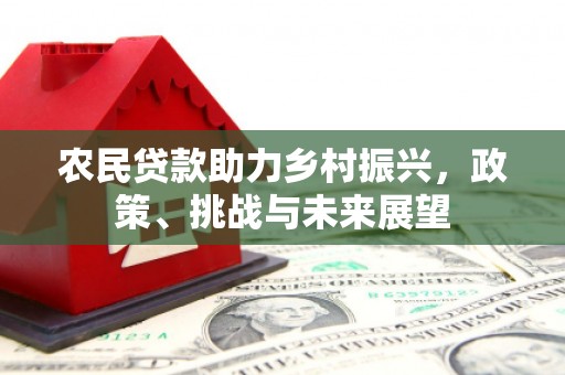 应县农民贷款助力乡村振兴，政策、挑战与未来展望