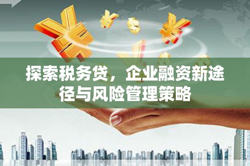 海南探索税务贷，企业融资新途径与风险管理策略