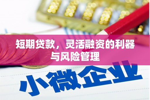 上林短期贷款，灵活融资的利器与风险管理