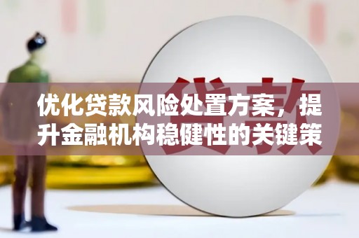 乌马河优化贷款风险处置方案，提升金融机构稳健性的关键策略