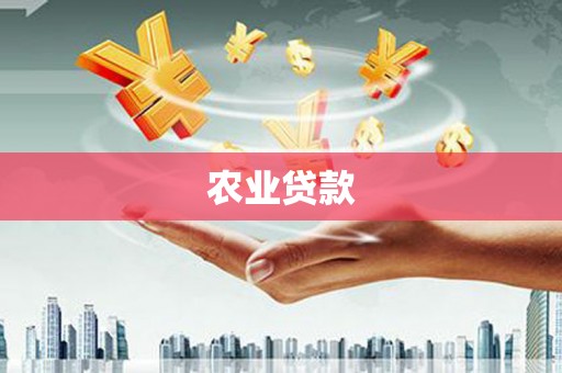 徽县农业贷款