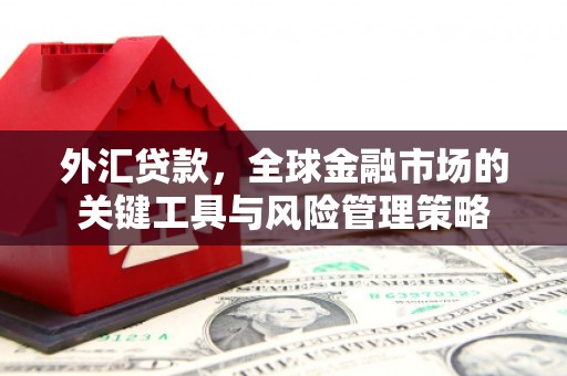 吉州外汇贷款，全球金融市场的关键工具与风险管理策略