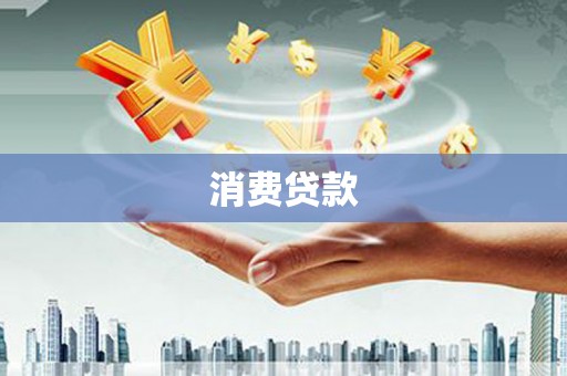 合作消费贷款